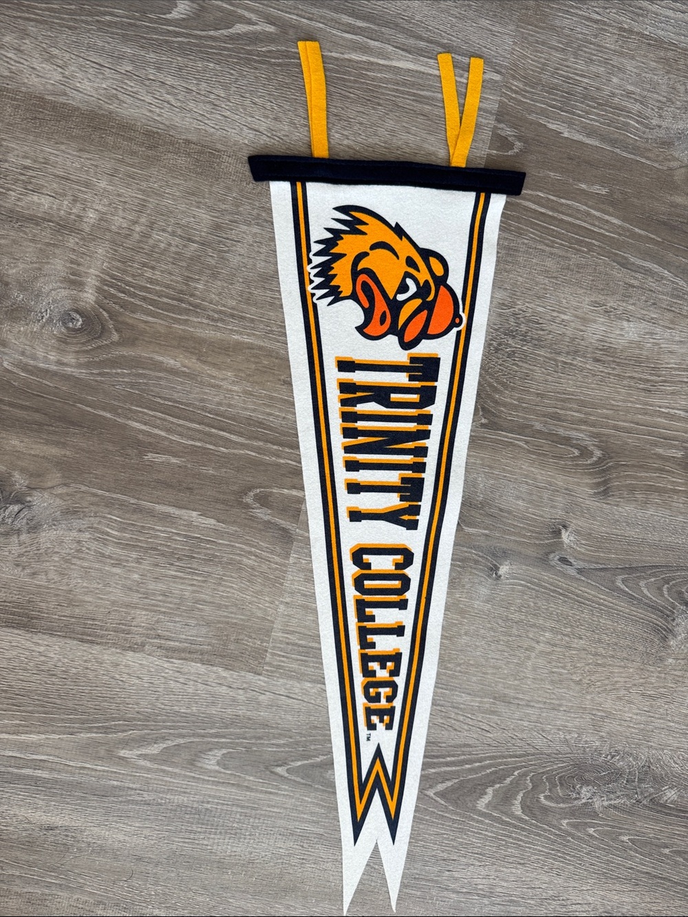 Trinity College Pennant
